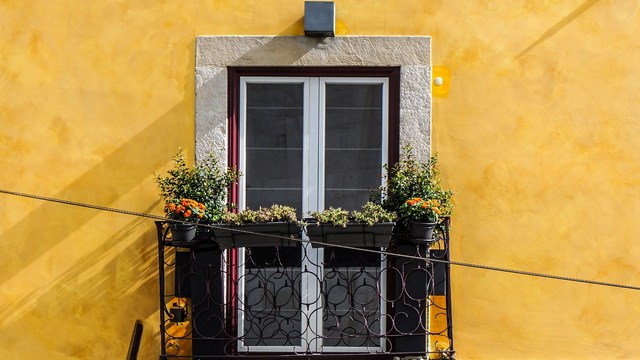 Balcony with potted plants on yellow wall