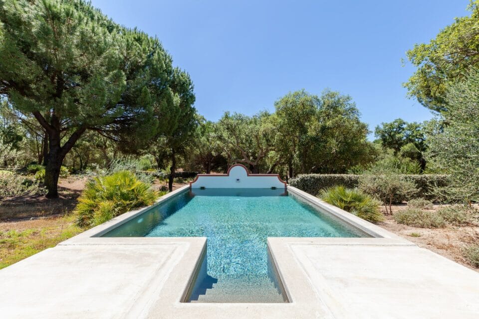 Outdoor swimming pool surrounded by lush trees