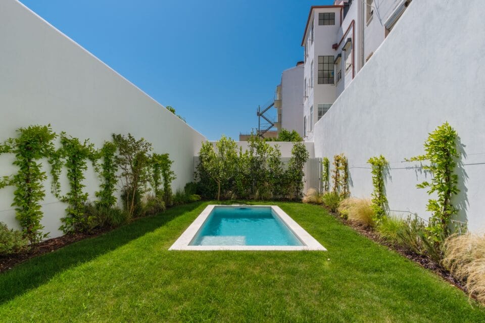 Small rectangular plunge pool in modern walled garden
